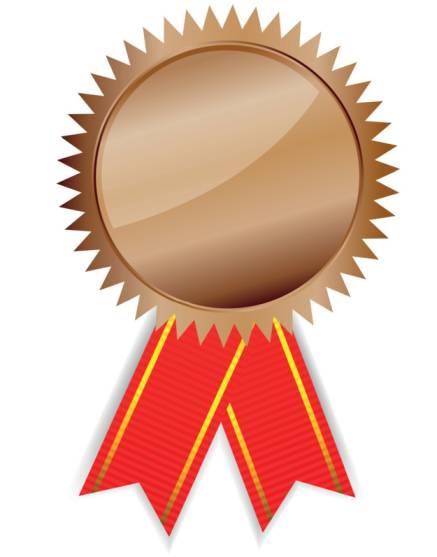 Bronze Achiever Badge